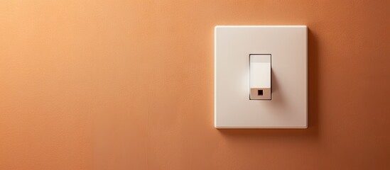 Brown wall with a white light switch