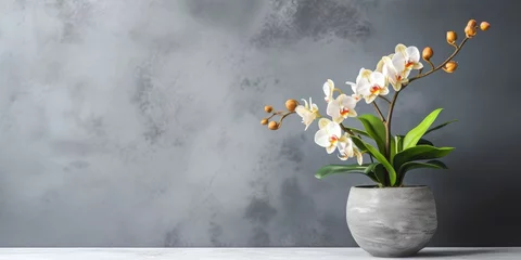 Foto op Canvas Beautiful Orchid in a flower pot, space for text or your product, Generative AI © 22_monkeyzzz