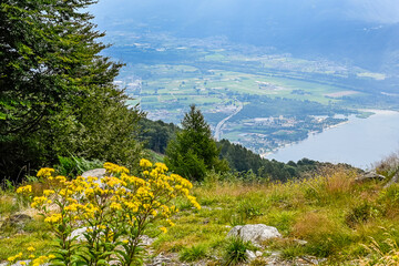 Cardada, Aussicht, Lago Maggiore, See, Magadino, Ebene, Wanderweg, Ticino, Fluss, Berge, Monte...