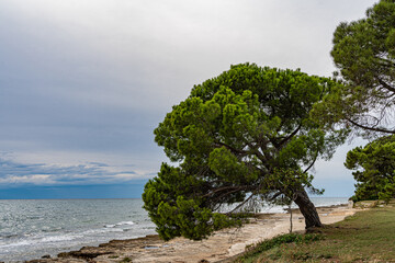 Fototapeta na wymiar Kroatische Küste in Istrien