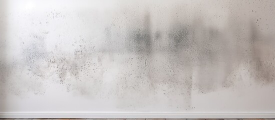 Mold on the wall photographed after cleaning commencing condensation - obrazy, fototapety, plakaty