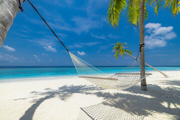 Best panoramic beach vacation wallpaper. Coconut palm with leisure carefree hammock, summertime lifestyle. Exotic destination, sunshine blue sea sky. Top panoramic travel landscape, tranquil amazing