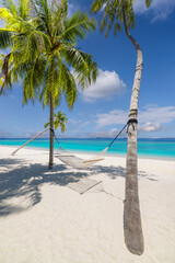 Best panoramic beach vacation wallpaper. Coconut palm with leisure carefree hammock, summertime lifestyle. Exotic destination, sunshine blue sea sky. Top panoramic travel landscape, tranquil amazing