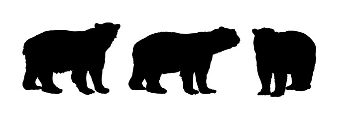 Set of polar bear silhouettes, isolated - vector illustration