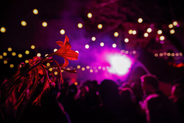people dancing in the nightclub