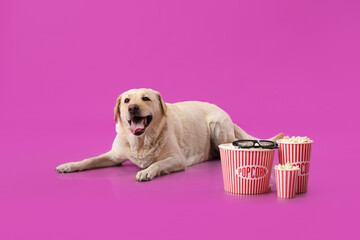 Cute Labrador dog with buckets of popcorn and 3D cinema glasses lying on purple background