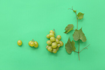 Sweet green grapes with leaves on color background