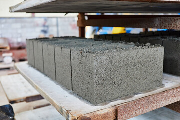 hollow concrete wall blocks after molding