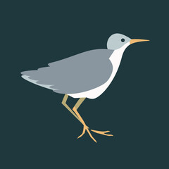 illustration of a bird