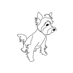 Yorkshire Terrier puppy looking interested. Vector linear drawing of a small standing dog.