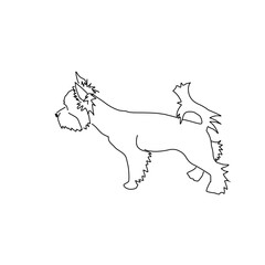 Figure haircut Yorkshire Terrier. Vector image of a standing dog.