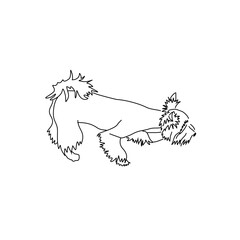 Figure haircut Yorkshire Terrier. Vector image of a standing dog.