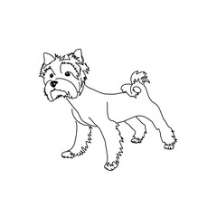 Figure haircut Yorkshire Terrier. Vector image of a standing dog.