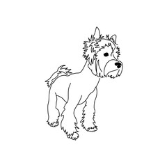 Figure haircut Yorkshire Terrier. Vector image of a standing dog.