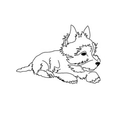 Vector drawing of a Yorkshire Terrier puppy. A sketch of a lying little dog