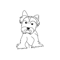 Yorkshire Terrier puppy looking interested. Vector linear drawing of a small standing dog.