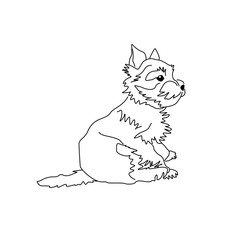 Yorkshire Terrier puppy looking interested. Vector linear drawing of a small standing dog.