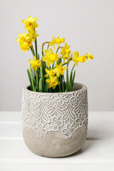 Yellow daffodils in ceramic pot.
