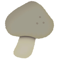 Mushroom 
