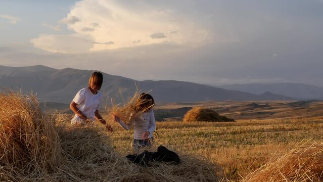 A teenage brother and two sisters play in the rural wheat straw by jumping into a stack of straw and throwing at each other. Children happily and cheerfully carelessly frolic in a pile of straw