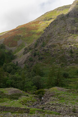 Obraz premium View of the fell side from Seathwaite valley, Cumbria, UK
