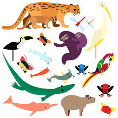 A Collection of Cute and Colorful Tropical Animals for Kids from Tropic transparent png Tigrillo, dragonflies, heron, toucan, butterflies, sloths, fish, frogs, parrot, caiman, pink dolphin, capybara