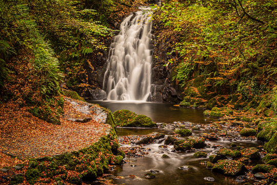 Autumn colours at Glenoe Waterfall, Larne, Northern Ireland © agaglowala