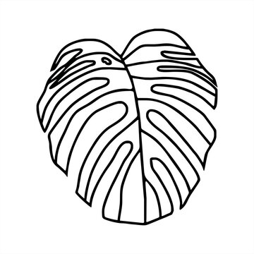 monochrome line art illustration of a round Philodendron leaf
