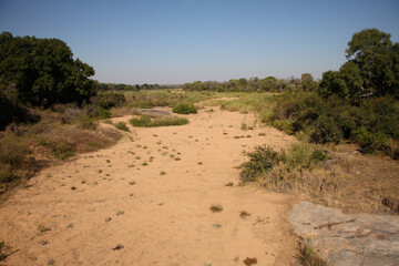 Krüger Park - Afrikanischer Busch - Trockenes Flussbett / Kruger Park - African bush - Dry riverbed /