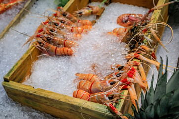 Selection of fresh raw red langostino on ice on display at a high end restaurant in Beverly Hills, Los Angeles, California, USA