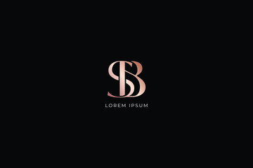 sb letter modern luxury style fashion brand luxury style design modern style creative golden wordmark design typography illustration, sb wordmark, sb logo