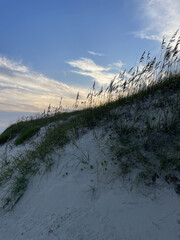 Sea Oats Sunset