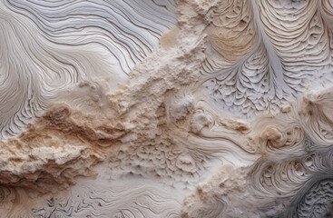 Texture of fossil algae and microorganisms. Soil erosion. Texture of fossilized limestone.