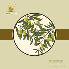 Olive tree branch with leaves and ripe fruits vector illustration. Design for banner, flyer, promo poster, discount card