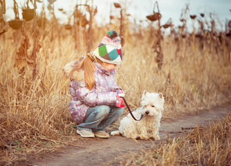 little girl with her dog breed White Terrier walking in a field in autumn