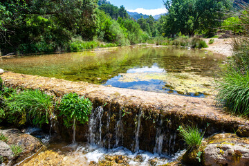 Cascada de agua transparente del r&iacute;o entre bosque 