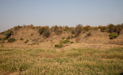 Letaba River/ Letaba River /