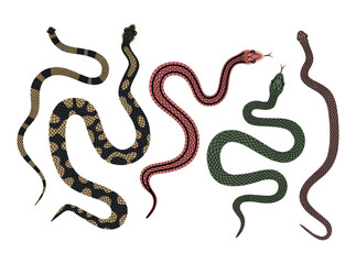 Vector hand-drawn color Snake collection big set. Tot view illustration of snakes isolated on a white background