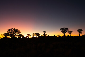 Fototapeta na wymiar Sunset at Quiver Tree Forest, Namibia