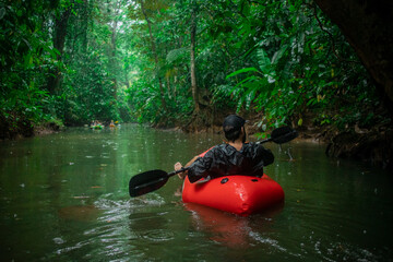 Unknown man in a red kayak floating towards lush vegetation visible around. Palm trees, mangroves,...
