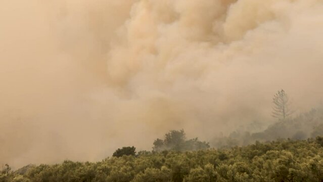 Forest fires in the prefecture of Evros in northern Greece in the biggest fire ever in Europe