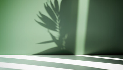 Abstract studio background for product presentation. Empty room with shadows of window and flowers and palm leaves . 3d room with copy space. Summer concert. backdrop. beauty product placement.