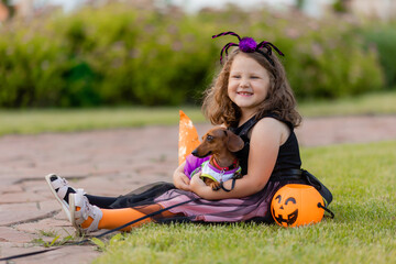 cute little girl in a witch costume for Halloween walks with a dachshund dog in the park