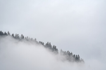 mist landscape of trees on the mountain edge appears in cloud