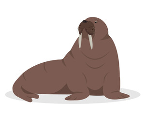 Walrus animal isolated on white background. Sea or ocean water mammal animal. Walrus icon. Nature Vector flat or cartoon illustration.