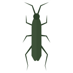 Isolated colored insect animal icon Vector