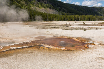 Colorful soil in the geyser basin in the Yellowstone National Park, WY