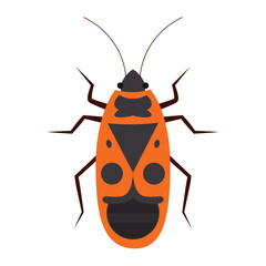 Isolated colored cockroach insect animal icon Vector