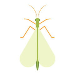 Isolated colored grasshooper insect animal icon Vector