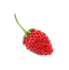 One ripe wild strawberry isolated on white